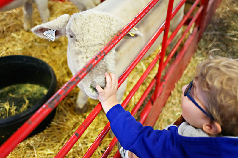 going places, ventura county fair