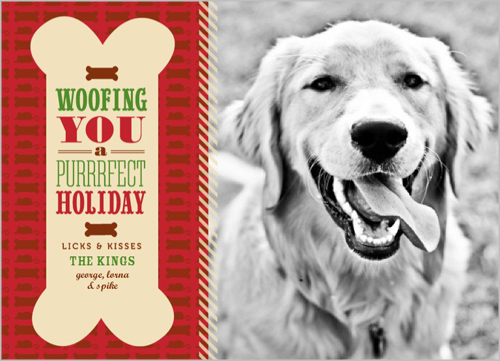 guest-post-christmas-cards-shutterfly