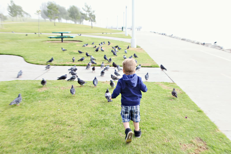 going places, foggy morning in long beach, family