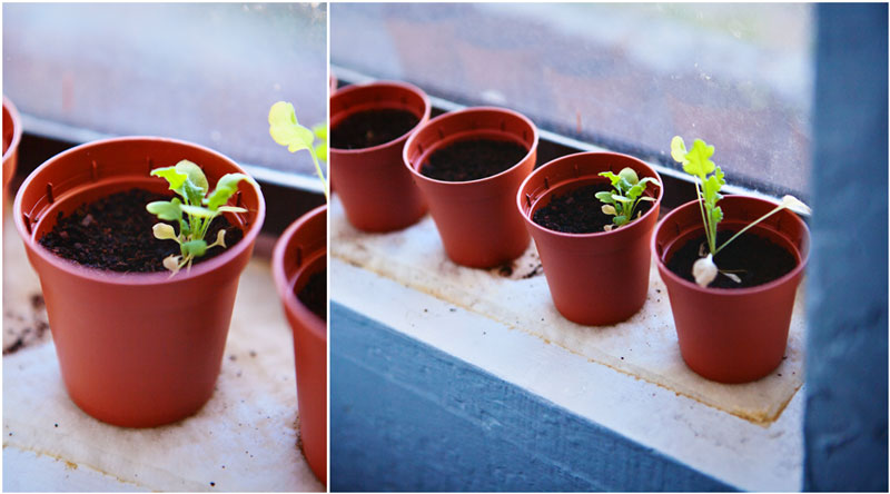 taking stock, mom style, diptychs, photo project