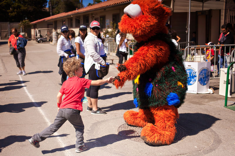 going places, ventura, vc county, ventura county fair, fair with the ocean air, stevie fan club