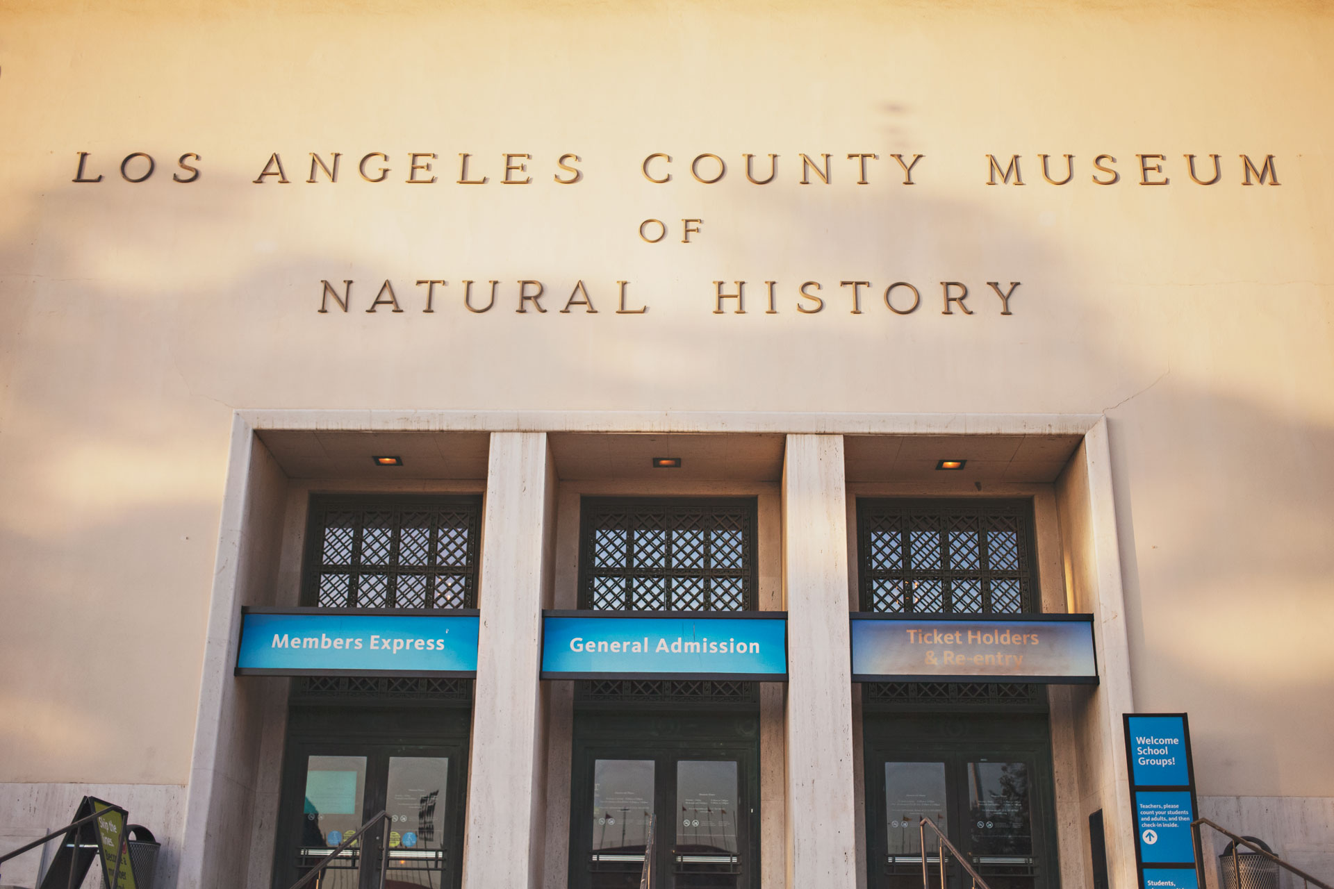 los angeles county museum of natural history museum, spider pavilion, nhm, 