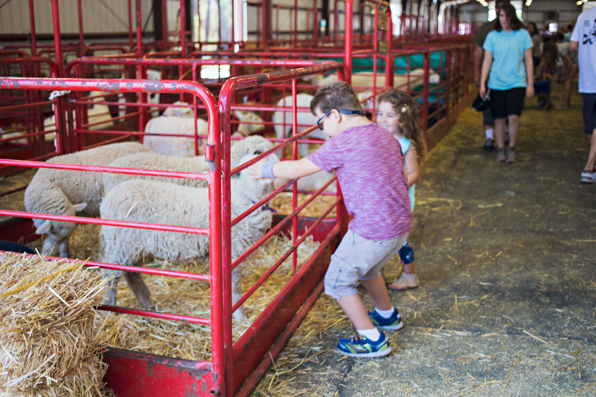 vfair, vcfair, ventura county fairgrounds, ventura, summer