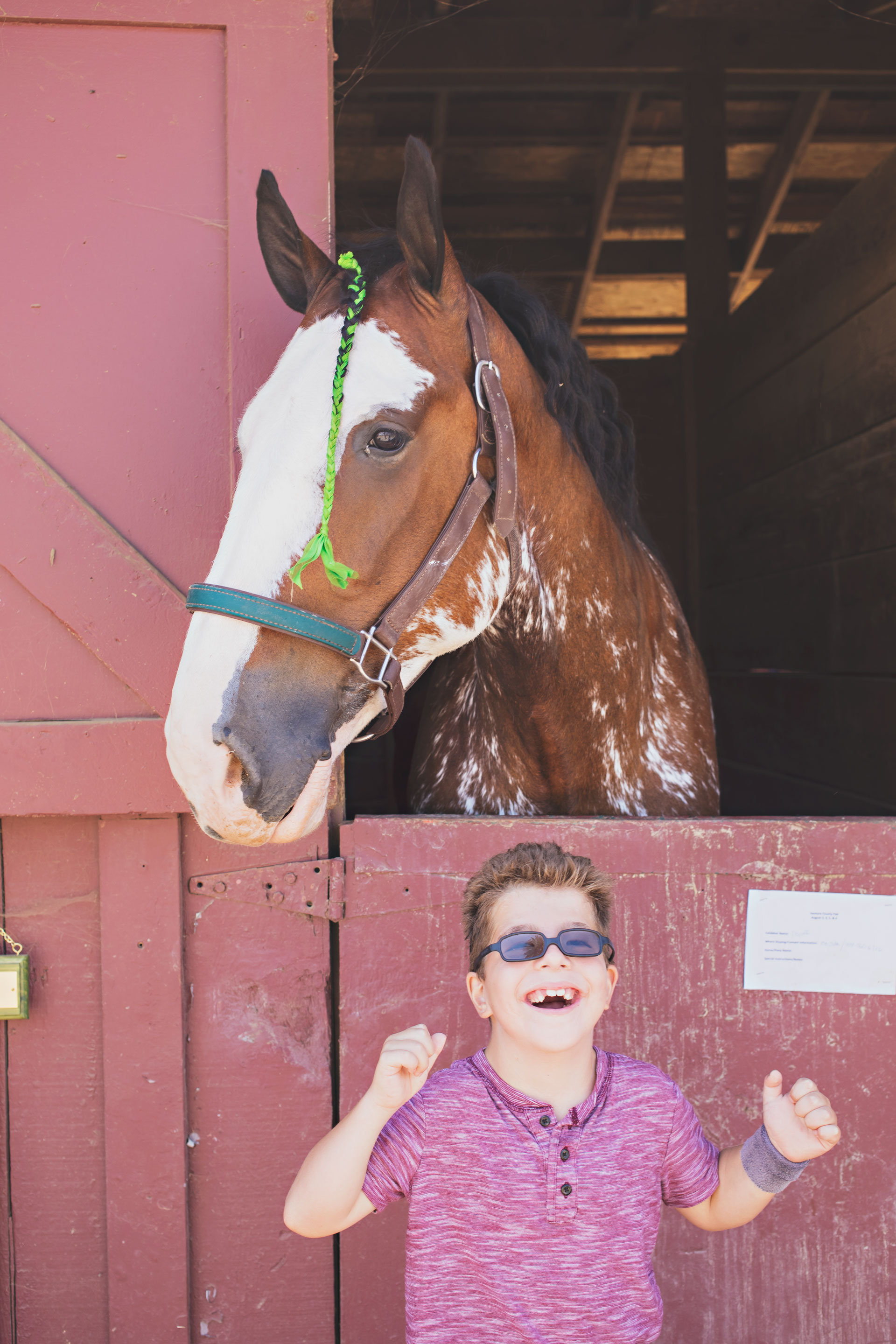 vfair, vcfair, ventura county fairgrounds, ventura, summer