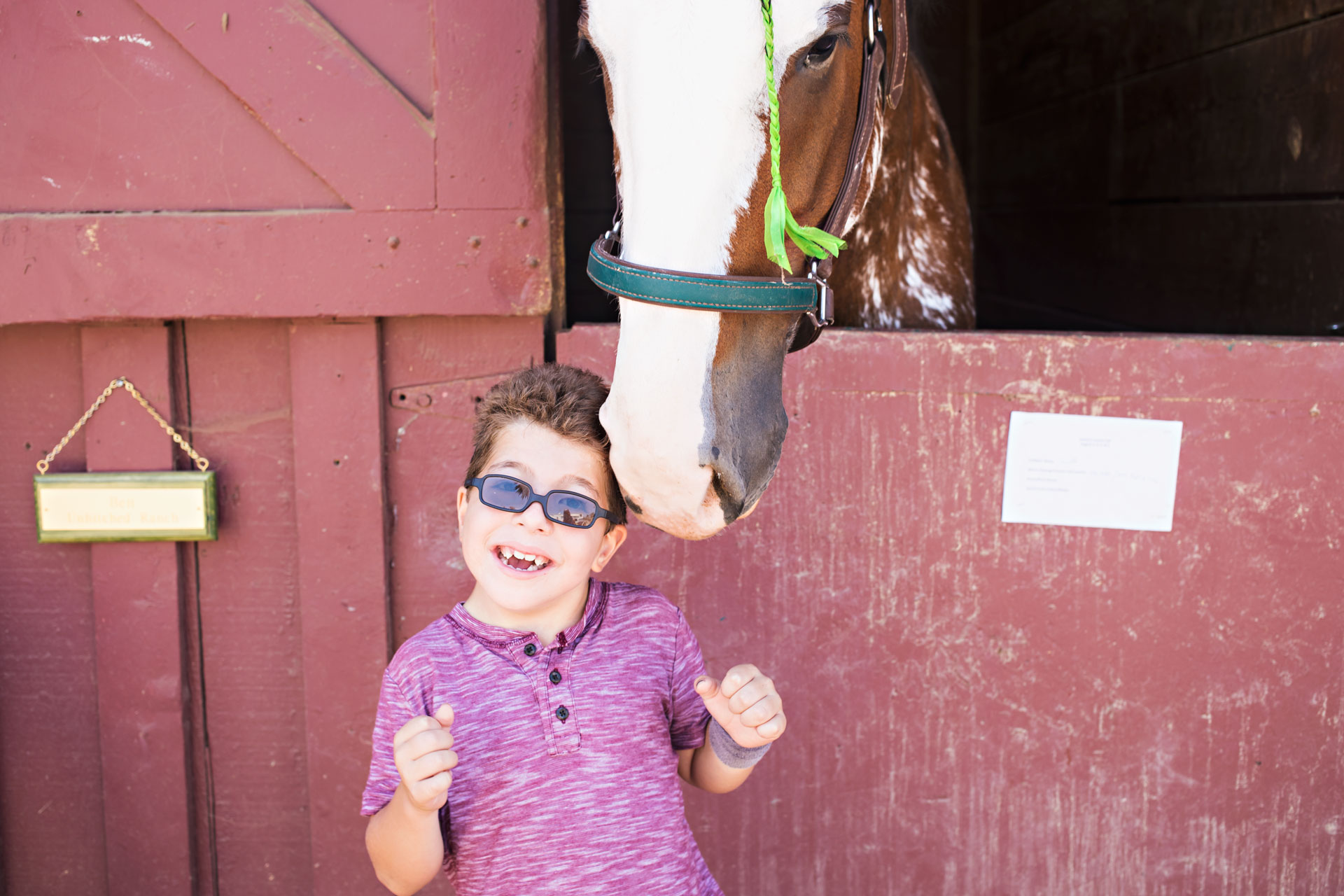 vfair, vcfair, ventura county fairgrounds, ventura, summer