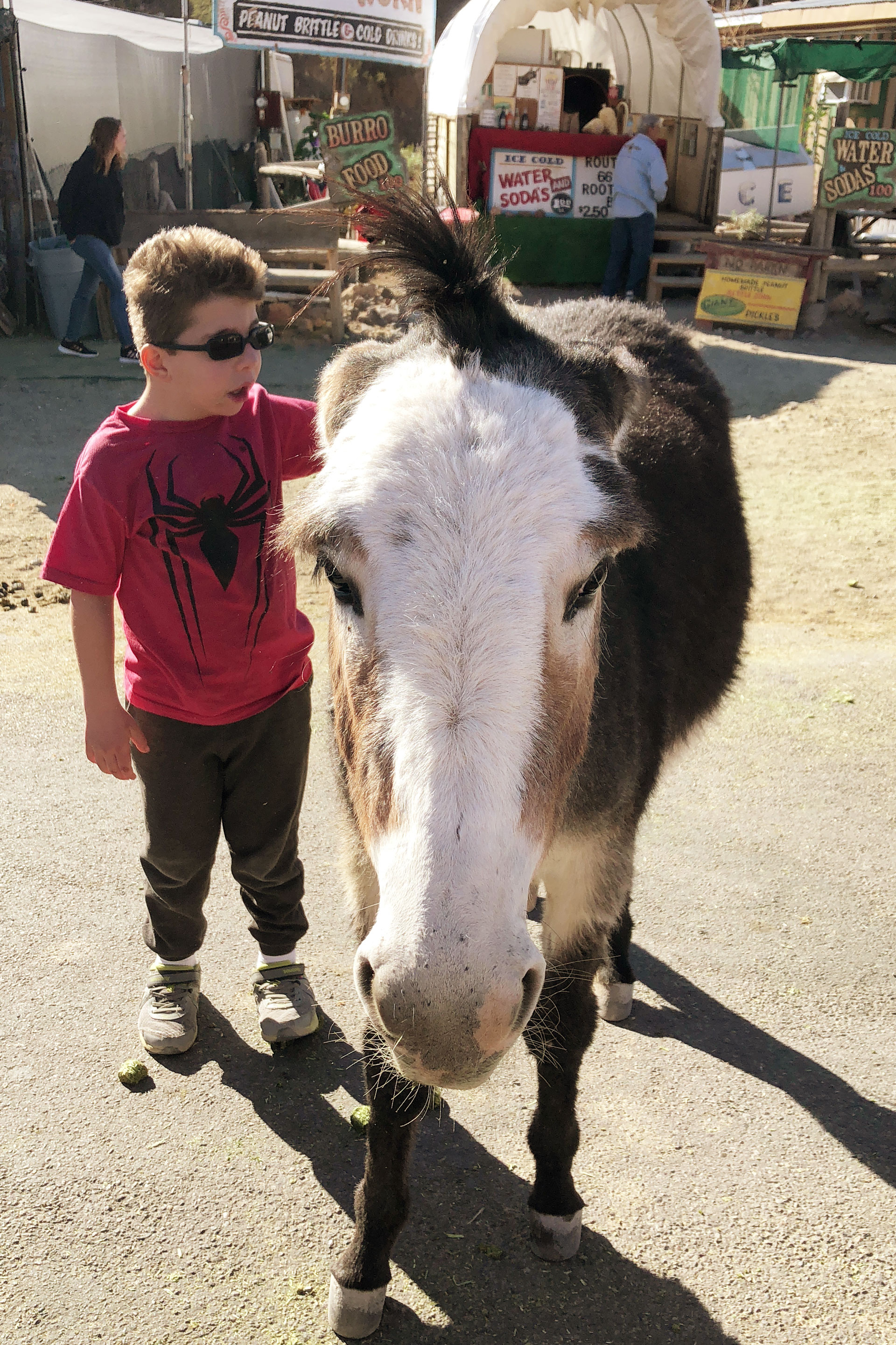 holiday wrap up, arizona, topock, oatman