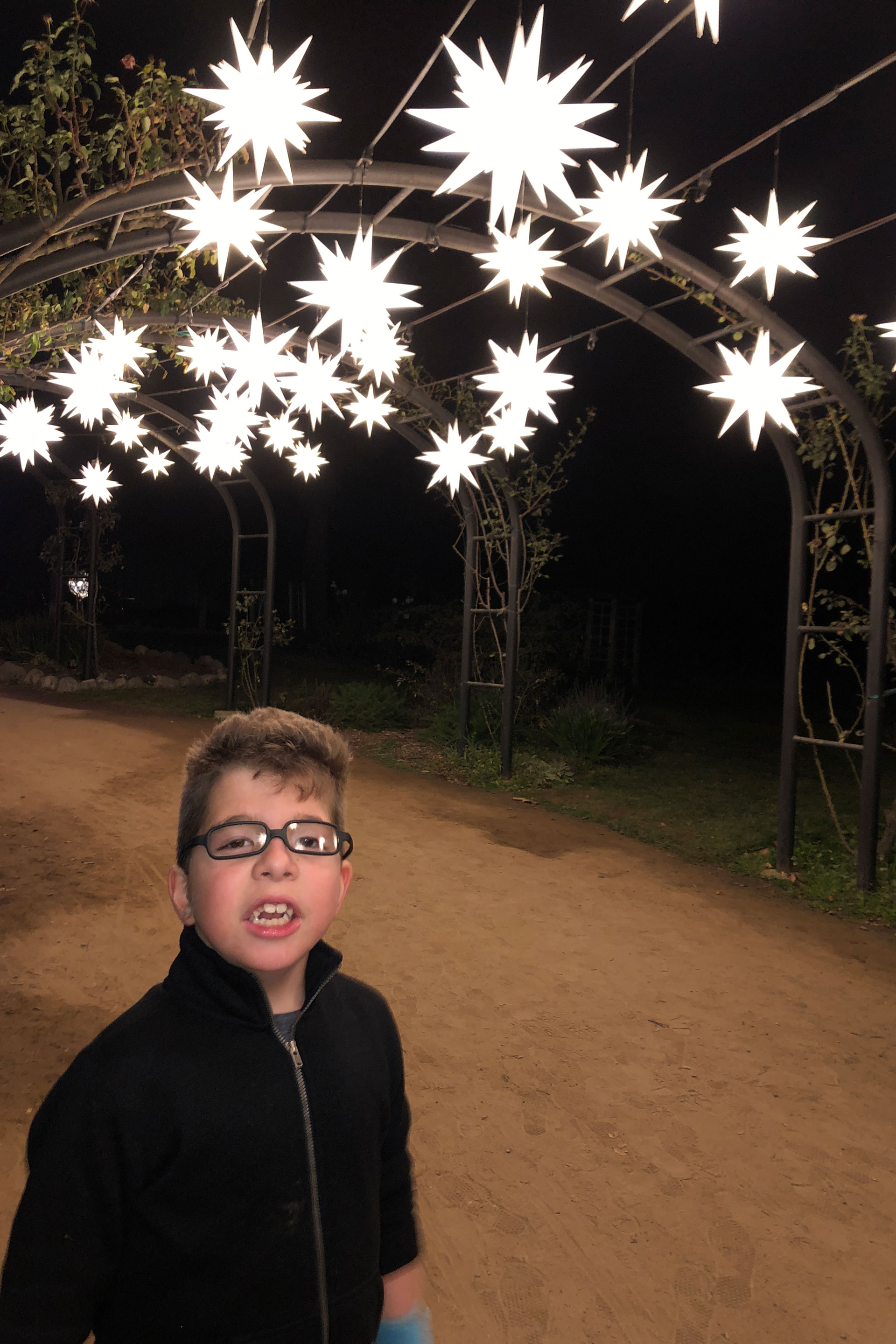 holiday wrap up, descanso gardens, enchanted