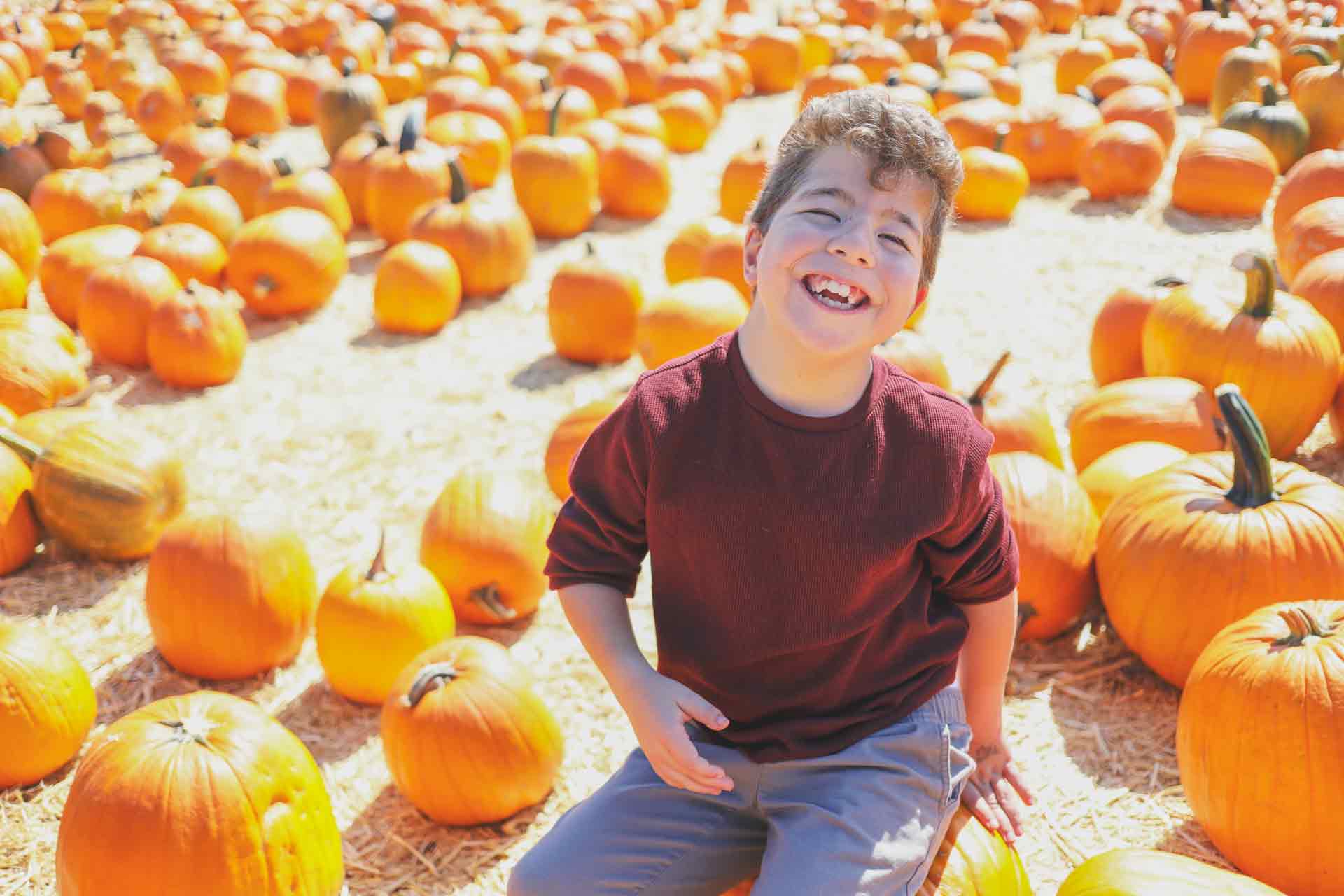 underwood family farms, pumpkin patch, fall harvest festival, family, fun weekend