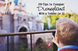 Tips to Conquer Disneyland with a Toddler