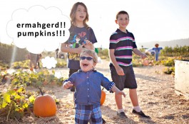 Underwood Family Farm Pumpkins