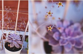 Taking Stock + April Diptychs