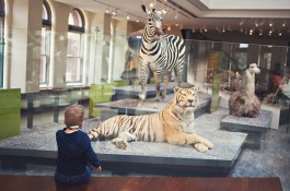 Natural History Museum in Los Angeles