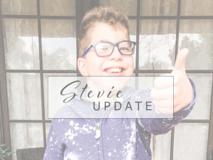 Stevie Update: Winter 2019